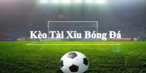 Tài Xỉu 1 Trái Tìm Hiểu Loại Kèo Cược Hấp Dẫn Nhất Tại Hi88