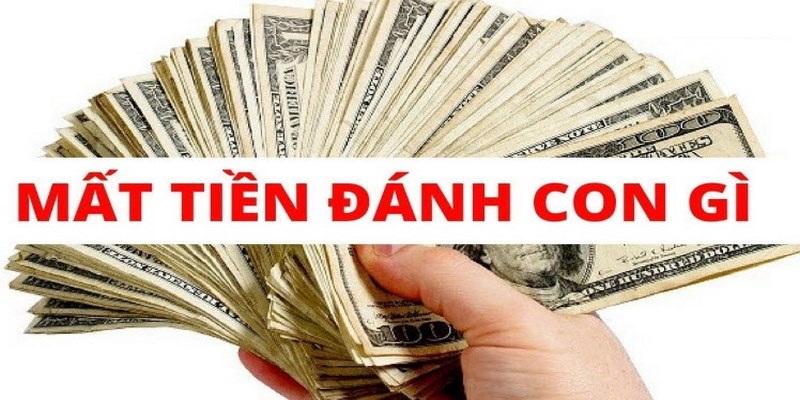 Chiêm bao mất tiền và những con số
